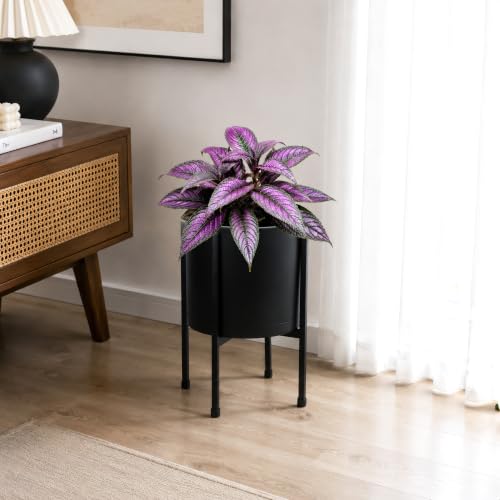 D'vine Dev Plastic Planter Pot with Metal Stand, Black, 8 in, 55-D-B-1 - color: Black, size: 8 Inch