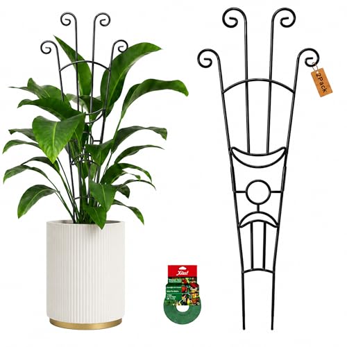 32.6in Plant Trellis for Climbing Plants Indoor Outdoor, Expandable Large Metal Garden Trellis for Potted Plants, Heavy-Duty Tall Pothos Plant Climber Support for Ivy Pothos Hoya Monstera, 2P - size: 32in, 2p