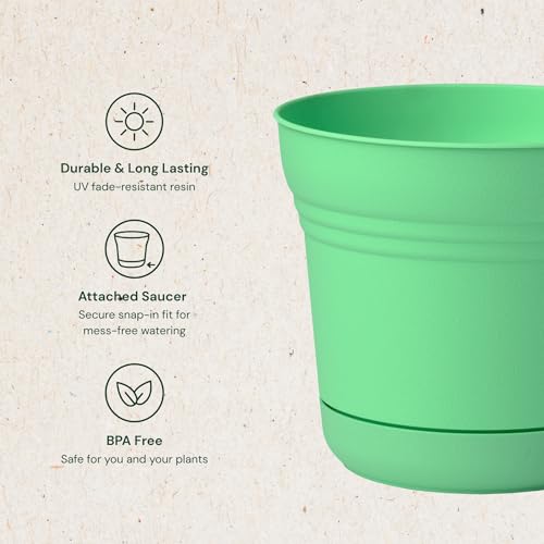 Bloem Saturn 5" Round Plastic Planter - Indoor/Outdoor, Snap-in Saucer & Drainage Holes, Mint Green - color: Mint Green, size: 5 Inches