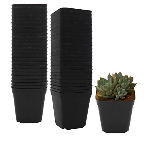 2.7 Inch Square Nursery Pots,50 Pack Sturdy & Reusable Plastic Plant Containers Starter Pot with Drainage Holes for Seedlings,Succulents & Garden Plants,Black - size: 2.7 Inch