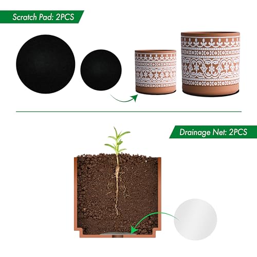 D'vine Dev 2-Pack Terracotta Pots, 4/6 in, Terra/White, 31-958-F-1 - color: Terracotta/White
