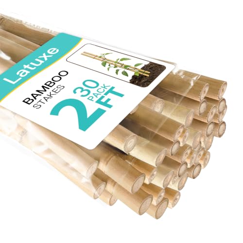 Bamboo Stakes 2FT, 30pcs Plant Stakes, Garden Stakes Specifically Designed for Climbing Plants, Ideal for Tomatoes, Beans, Cucumbers, Peppers, Vines, and More Plant Growth - size: 2FT, 30pcs