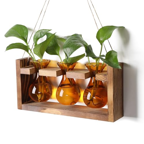 Plant Propagation Station Plant Terrarium Unique Birthday Gifts for Women - color: Amber