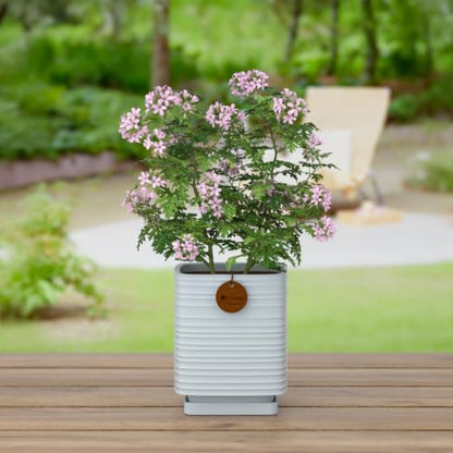 5.9 Inch Blue Ceramic Planter with Drainage and Saucer - color: Light Blue, size: Medium