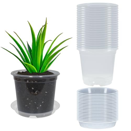 20 Pack 6 Inch Clear Nursery Pots with Drainage and 20 Pack Plant Saucers, 0.5 Gallon Plant Pots for Plants Potting Containers Half Gallon Plants Seeding Starter Pot (Clear, 6 Inch) - color: Clear, size: 6 Inch