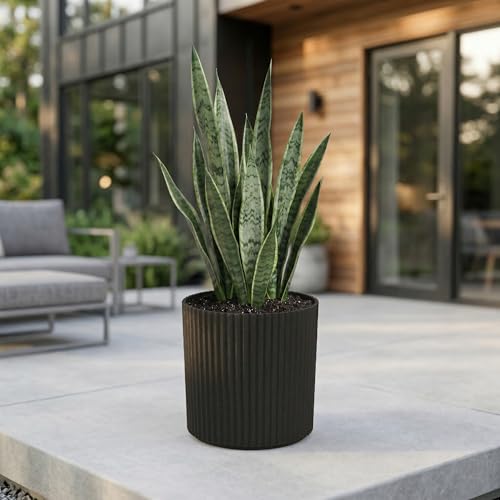 Mayne Haven 10in Round Fluted Modern Planter, Black - color: Black, size: 10in