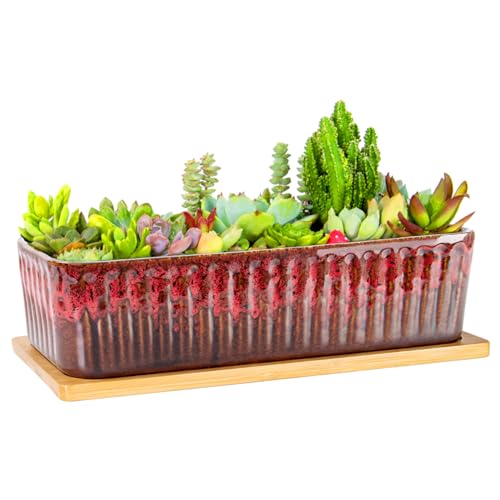 Succulent Pots, 12'' Long Rectangle Planters with Tray, Windowsill Planter - color: Red