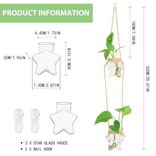 XXXFLOWER 2 Tiers Star Shaped Glass Vase Wall Hanging Propagation Station - size: 2 Star Vases