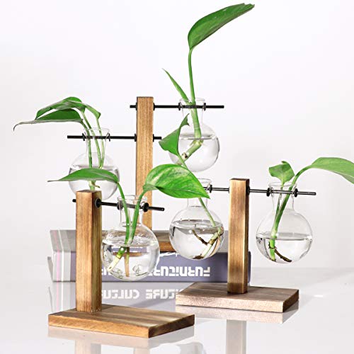 Kingbuy Hydroponic Glass Vase with Retro Wooden Stand - size: B（2 Bulb Vase）