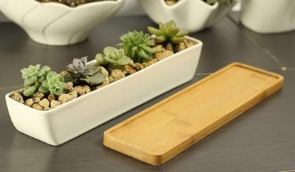 11inch Long Rectangle White Ceramic Succulent Planter Pots,with Bamboo Saucers. Product Size:11x2.23x1.69inch.