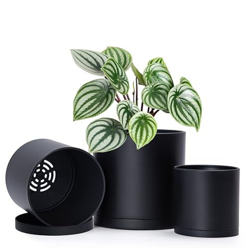 D'vine Dev 3-Pack Plastic Pots & Saucers, 4/5/6 in, Black, 74-V-B-1 - color: Matte Black, size: Small