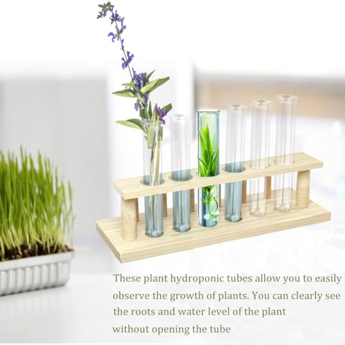 15Pcs Glass Tubes for Plants, Plant Propagation Tube Test Tubes for Scientific Experiments 20 ml Glass Test Tubes for Hydroponic Plants, Home Office Wall Decor (12cm) - size: 4.75x0.9 Inch