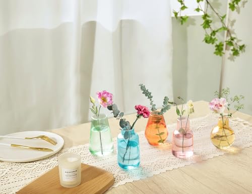 Mkono Propagation Vases 5 Glass Jars Station for Hydroponic Plants,Color - color: Colorful