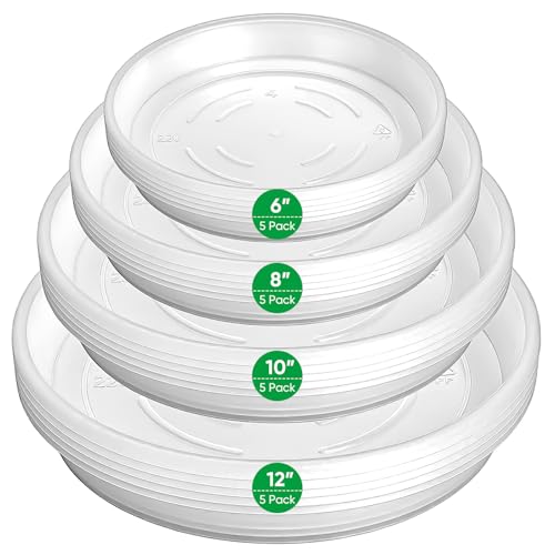 20 Pack Plant Saucer Tray, 6/8 /10/12 inch Heavy Duty Flower Pot Trays, Plastic Plant Saucer for Indoor & Outdoor Plants, Plant Trays to Catch Water, 5 Pieces of Each Size - size: 6/8/10/12 inch