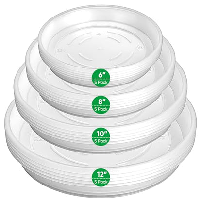 20 Pack Plant Saucer Tray, 6/8 /10/12 inch Heavy Duty Flower Pot Trays, Plastic Plant Saucer for Indoor & Outdoor Plants, Plant Trays to Catch Water, 5 Pieces of Each Size - size: 6/8/10/12 inch