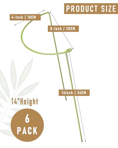 6-Packy Plant Support Stakes, Steel Stakes for Indoor Plants, Monstera & Peony Support, Tall Plant Sticks for Snake Plant, Climbing Vines (8" Wide x 14" High)