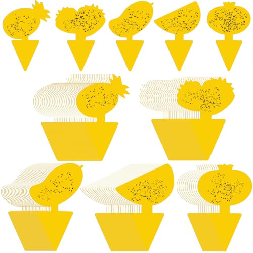 Qualirey 200 Sheets Fruit Fly Sticky Traps for Fruit Fly Gnat Trap for House Indoors Sticky Traps Catcher for Gnats Fungus Gnats Mosquito Catcher for Kitchen Outdoor Plants (Fresh Style, Yellow) - color: Yellow, size: Fruit Style