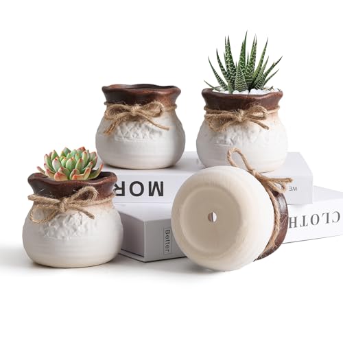 T4U Small Ceramic Pots with Drainage Hole, 3.5 Inch Cute Planters for Indoor Cactus and Succulent Plants, Gift for Women, Mom, Plant Lover, Home Decor - color: White+brown