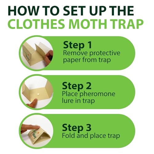 Greenway Pantry Food Moth Traps, 1 Pack (Includes 2 Traps and 2 Lures)