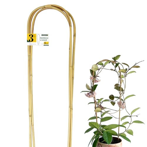 Jollybower Natural U-Hoops Bamboo Plants Trellis 3Ft, Garden Trellis U-Shape for Climbing Plants, Garden Arch Trelli Support for Potted Plants, Vines, Ivy Climbing Plants, Flowers-3 Pack - size: U-Shaped 3Ft