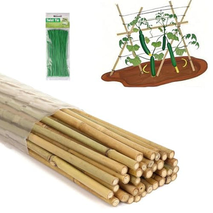 6 Ft Bamboo Stakes with 100 Twist Ties Natural Bamboo Garden Stakes for Dahlias Cucumber Grapes Pole Beans Trees Potted Dahlia Flowers and Climbing Plants - Pack of 20 - size: 6 FT -20 PACK & Ties