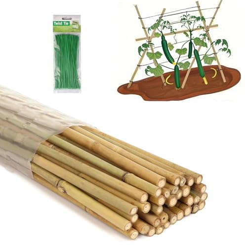 6 Ft Bamboo Stakes with 100 Twist Ties Natural Bamboo Garden Stakes for Dahlias Cucumber Grapes Pole Beans Trees Potted Dahlia Flowers and Climbing Plants - Pack of 20 - size: 6 FT -20 PACK & Ties