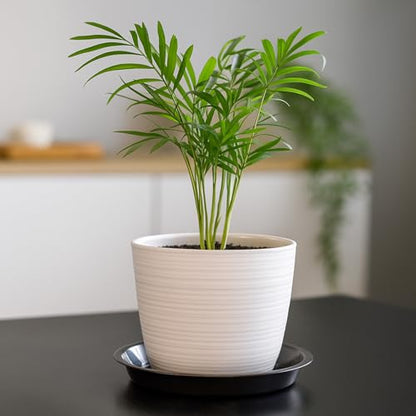 30 Pack Plant Saucer 4 Inches Plastic Drip Trays to Catch Water, Black - color: Black, size: 4 inch