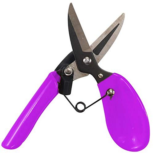 Dramm 18006 ColorStorm Premium Garden Scissors, Berry - color: Berry, style: Garden Scissors