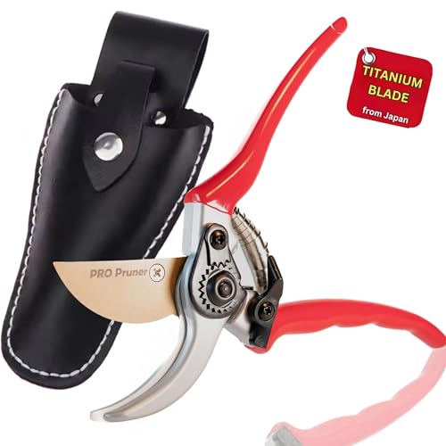 Premium Garden Shears with Black Leather Holster - Heavy Duty Bypass Pruners for Trees Up to 1"Cut Capacity Garden Clippers, Gardening Scissors with Sharp (SHEARS-HOLSTER-Pouch) - style: SHEARS-HOLSTER