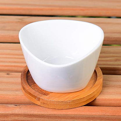 Succluent Pots,12 Pack Small Flower Pots,Planter Pots with Drinage