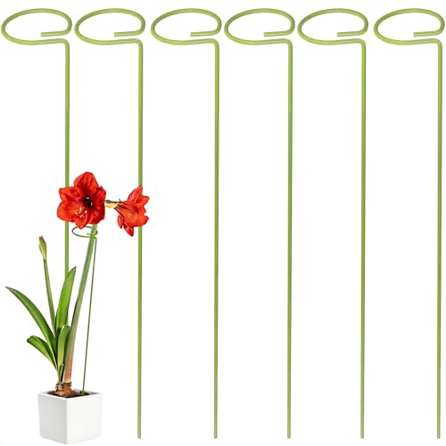 6-Pack Plant Stakes for Indoor Plants, 16 Inch Heavy Duty Adjustable Support Stakes & Tall Sticks for Monstera, Amaryllis, Orchid, Snake Plant, Single Stem, Indoor Outdoor - size: 16"Height, 6-Pack