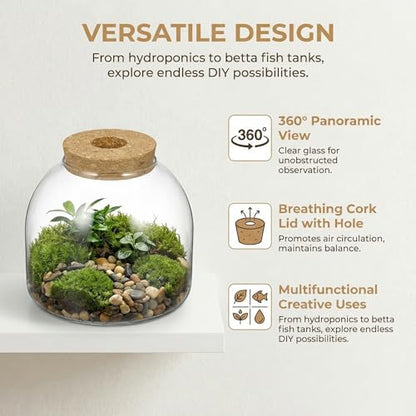 NUOBESTY Glass Terrarium Jar with Cork Lid, Hydroponic Plant Propagation Vase, Clear Round Betta Fish Bowl Tank for Moss Succulent Indoor Desktop Home Decor