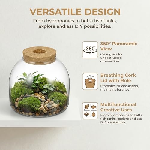 NUOBESTY Glass Terrarium Jar with Cork Lid, Hydroponic Plant Propagation Vase, Clear Round Betta Fish Bowl Tank for Moss Succulent Indoor Desktop Home Decor