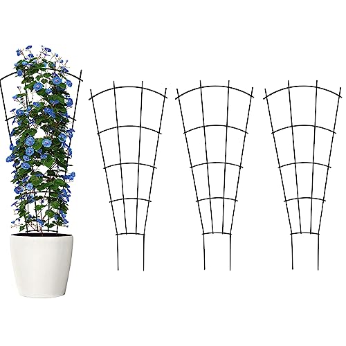 Thealyn 24" Metal Plant Trellis, Climbing Plant Support, 4 Pack Black - size: 24 inch