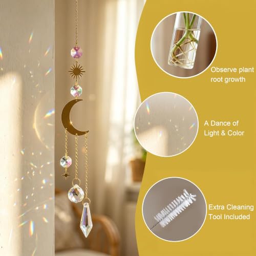 6pcs Plant Propagation Station Hanging Suncatcher with Chain Pendant