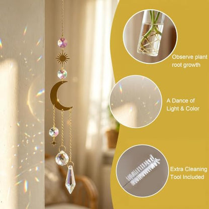 6pcs Plant Propagation Station Hanging Suncatcher with Chain Pendant