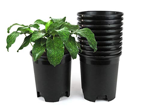 1 Gallon Nursery Pot Plastic Planters for Outdoor Indoor Plants Gardening Flower Pots 10-Pack 6 Inch Plant Pots with Drainage Holes - color: Black, size: 10-Pack 1 Gal