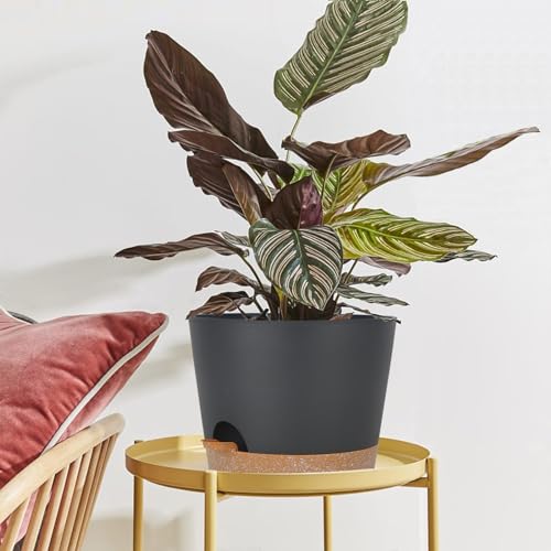 SwinDuck 12inch Large Self Watering Plant Pot, Plastic Cylinder Planter with 60Oz Deep Reservoir and Saucer for Indoor Outdoor Plants Flowers Houseplants, Black with Brown - color: Black With Brown
