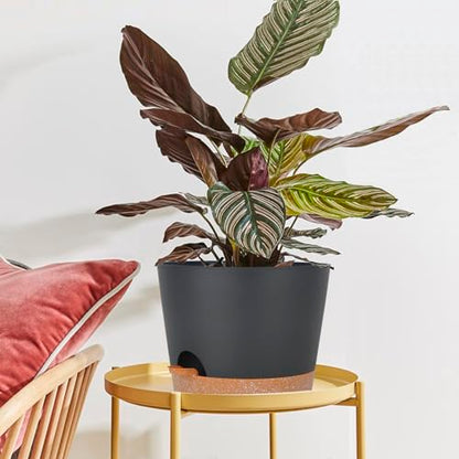 SwinDuck 12inch Large Self Watering Plant Pot, Plastic Cylinder Planter with 60Oz Deep Reservoir and Saucer for Indoor Outdoor Plants Flowers Houseplants, Black with Brown - color: Black With Brown