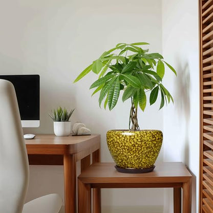 8 Inch Flower Pot, Ceramic Planters with Drainage, Yellow Leopard - color: Yellow Leopard, size: 8 Inch