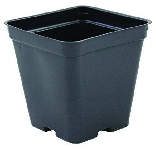Square Greenhouse Pots 3.5 inch x 3.5 inch- Black - Plastic - Deep - 200 Pack by Growers Solution