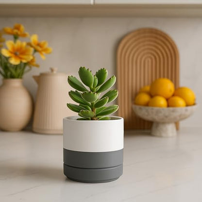 D'vine Dev 2-Pack Ceramic Pots with Saucers, White/Grey, 4.7 in, 94-V-B-6 - color: White/Speckled Grey, size: 4.7 Inch