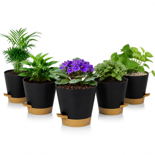 5 Pack 5 Inch African Violet Pots Self Watering, Self-Watering Planters with Drainage Holes & Reservoir, Black Brown Plastic Pots for Indoor Outdoor Plants, Succulents & Flowers - color: Black Brown, size: 5 inch 5 pcs