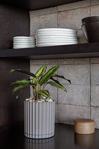 Veradek Demi Series Demi 6" Planter w/Tray - Grey, 2 Pack - color: Gray, size: 6 inch - 2 Pack