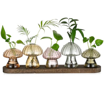 Hewory Plant Propagation Stations: 5PCS Amber Mushroom Vase with Wood Tray - color: Amber, size: 5