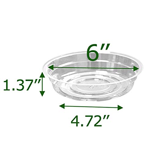 TRUEDAYS Clear Plant Saucers Flower Pot Tray Excellent for Indoor & Outdoor Plants, 6 Inch 10 Pack - size: 10-Pack (6'' Only)