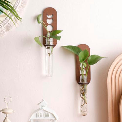 Artilady Plant Propagation Station Wall Hanging, Moon Phase Plant Terrarium - color: Moon Phase Wood