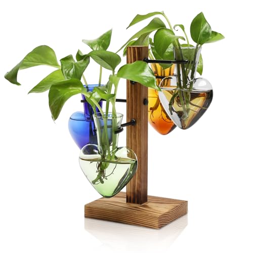 Plant Terrarium Propagation Stations with Wooden Stand - color: Color-02