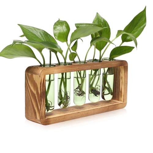 Glass Plant Propagation Station with 5 Test Tubes Colorful Planter Vase - color: Green