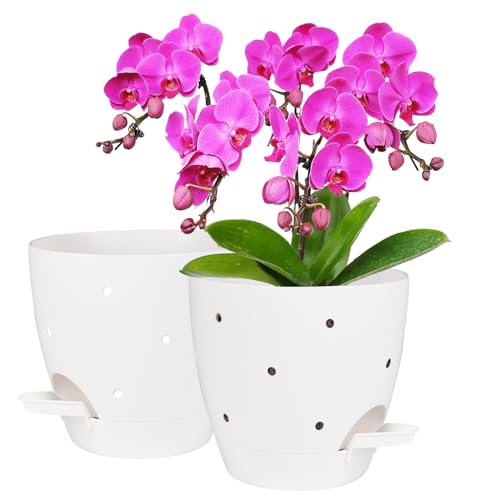 Vanslogreen 6 Inch Orchid Pots with Holes, 2 Pack Self Watering Planters for Orchids Plastic Orchid Pot Plant Flower Pots for Orchids Indoor Outdoor (White) - color: Style Round-white